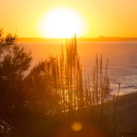 Apartamento Sunny Haven