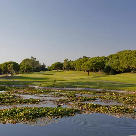 Sunny Haven Apartamento