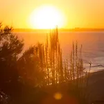 Апартаменты Sunny Haven