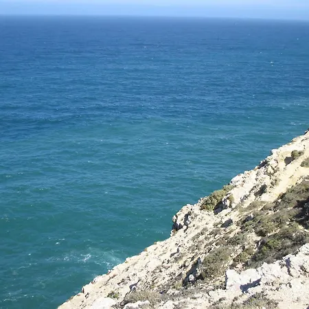 Sunny Haven Apartment