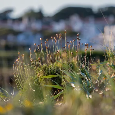 Apartment Sunny Haven *