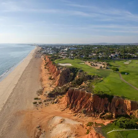 Sunny Haven Apartment