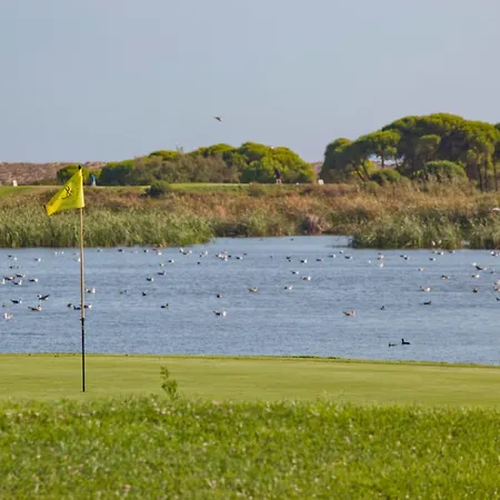 Sunny Haven Lejlighed *